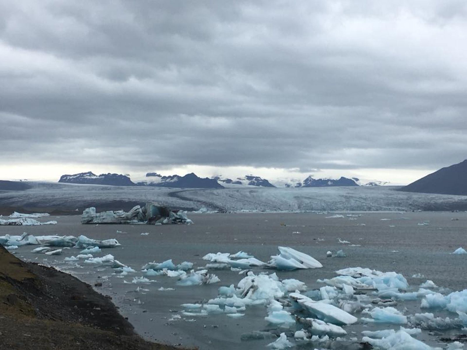 Izcovich Izcovich "Estiu?"
