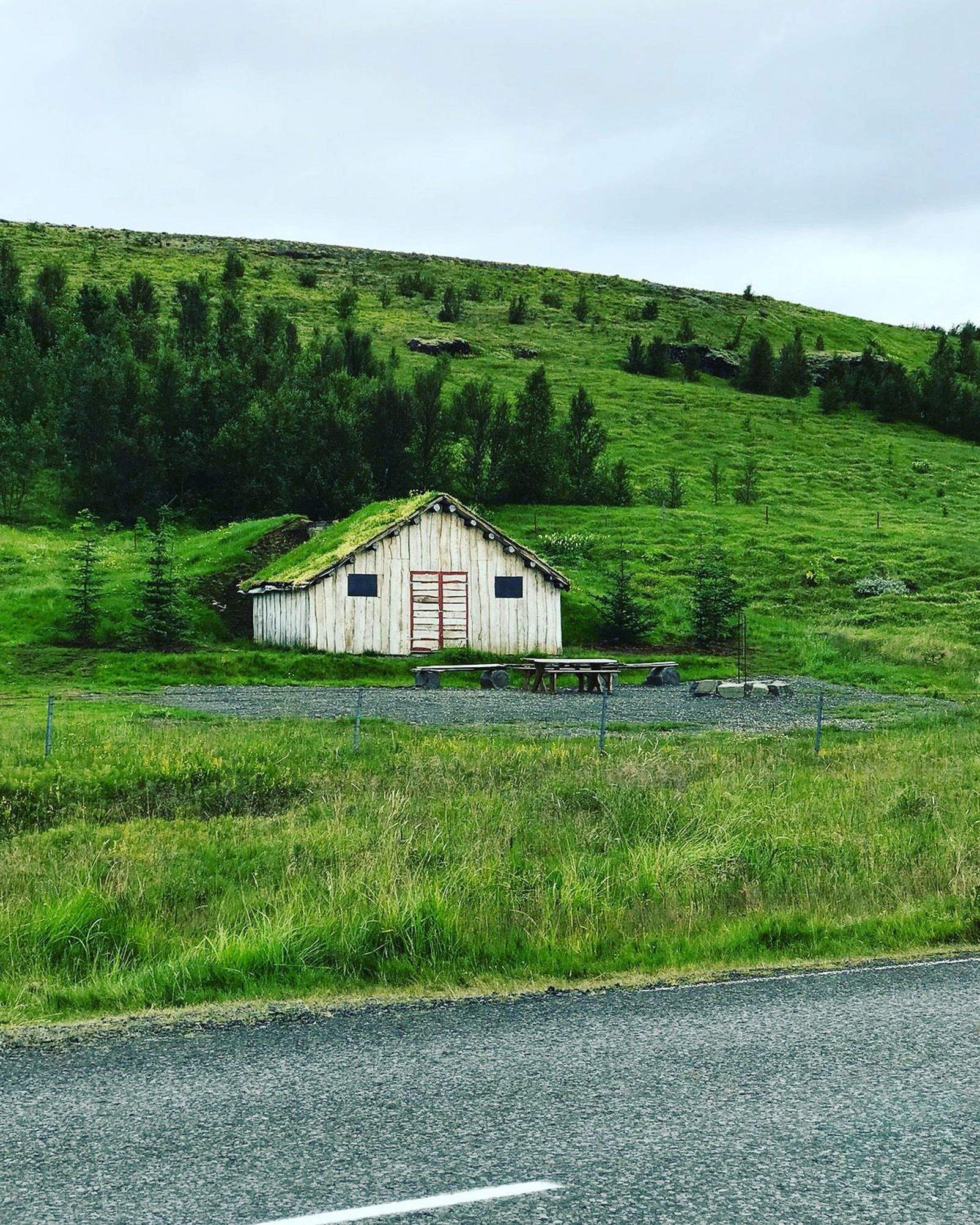 JAVIER MATEOS VILADOT "Verd"