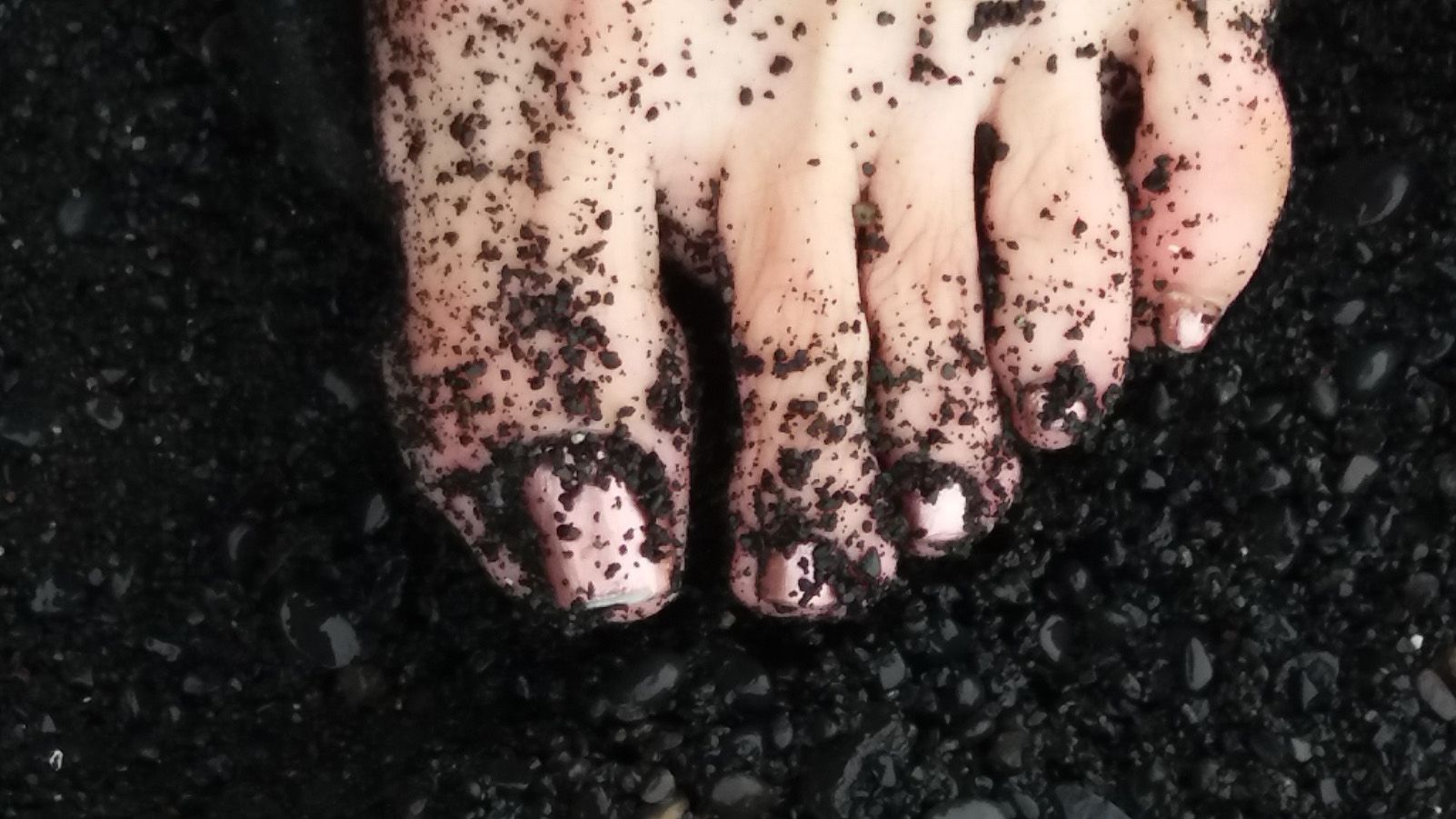 JAVIER MATEOS VILADOT "Zorra negra"