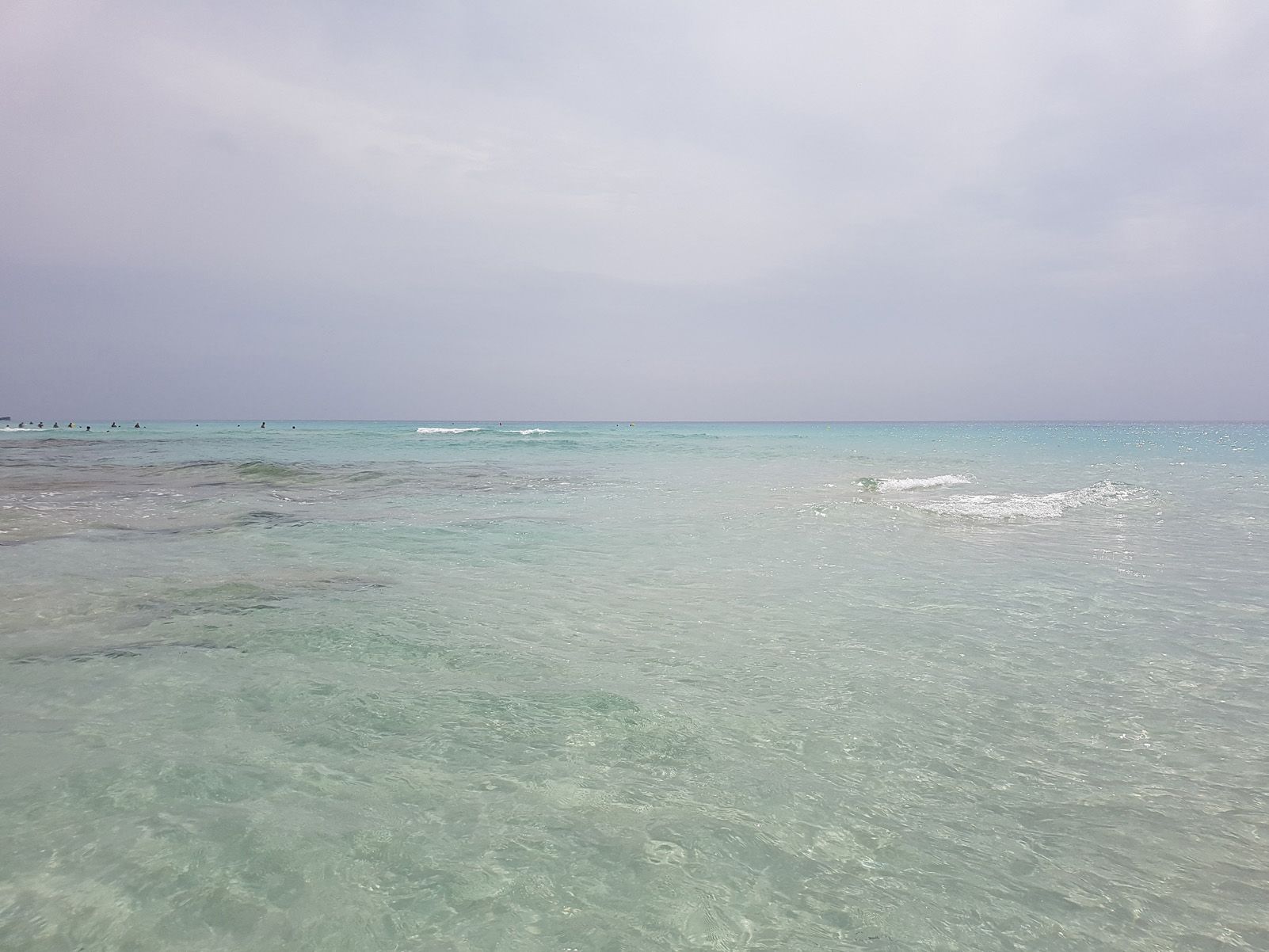 Joan Carles de Blas Salvador "Estiu 2018"