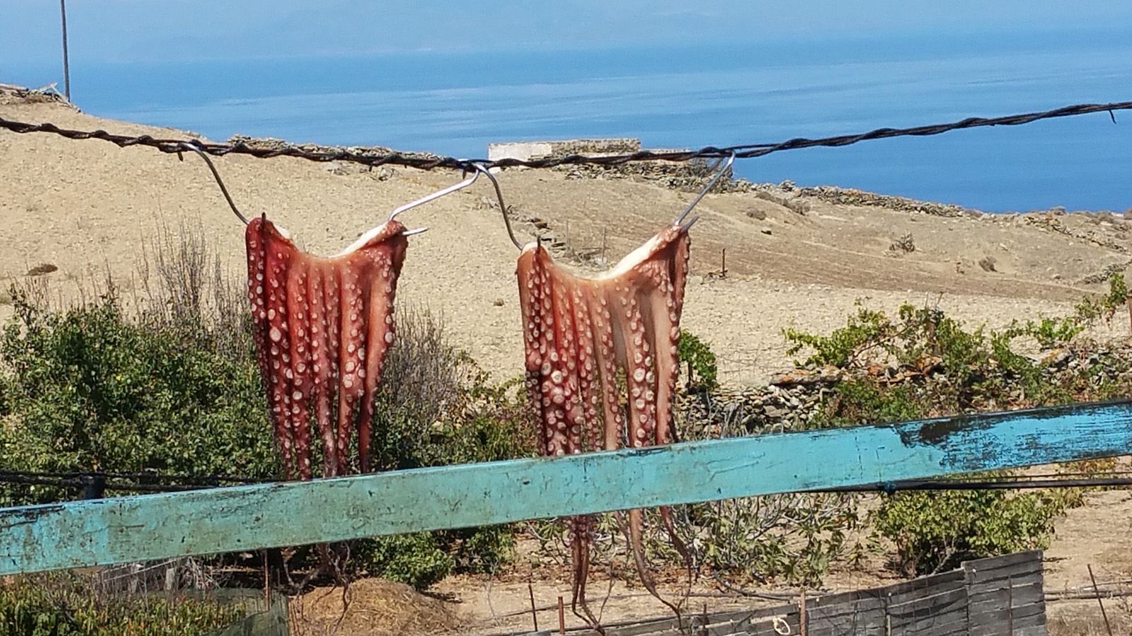 Joan Cascara i Rotllan "Pops al Sol"