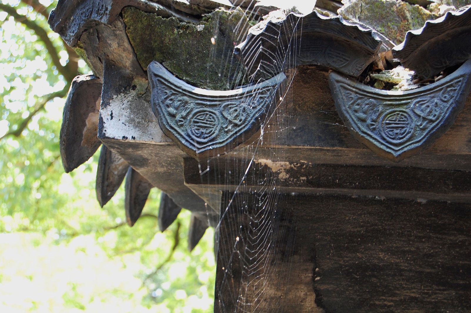 JOAN LLUELLES CONESA "RECÓ XINÉS"