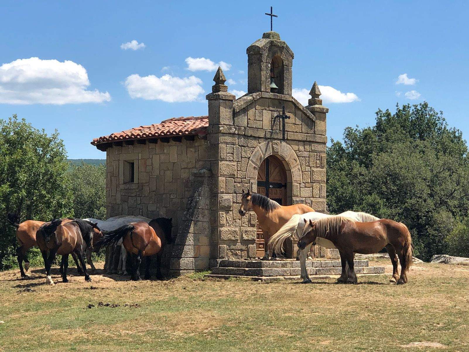 Jordi Canas Bozzo "Anillo Celtibérico"