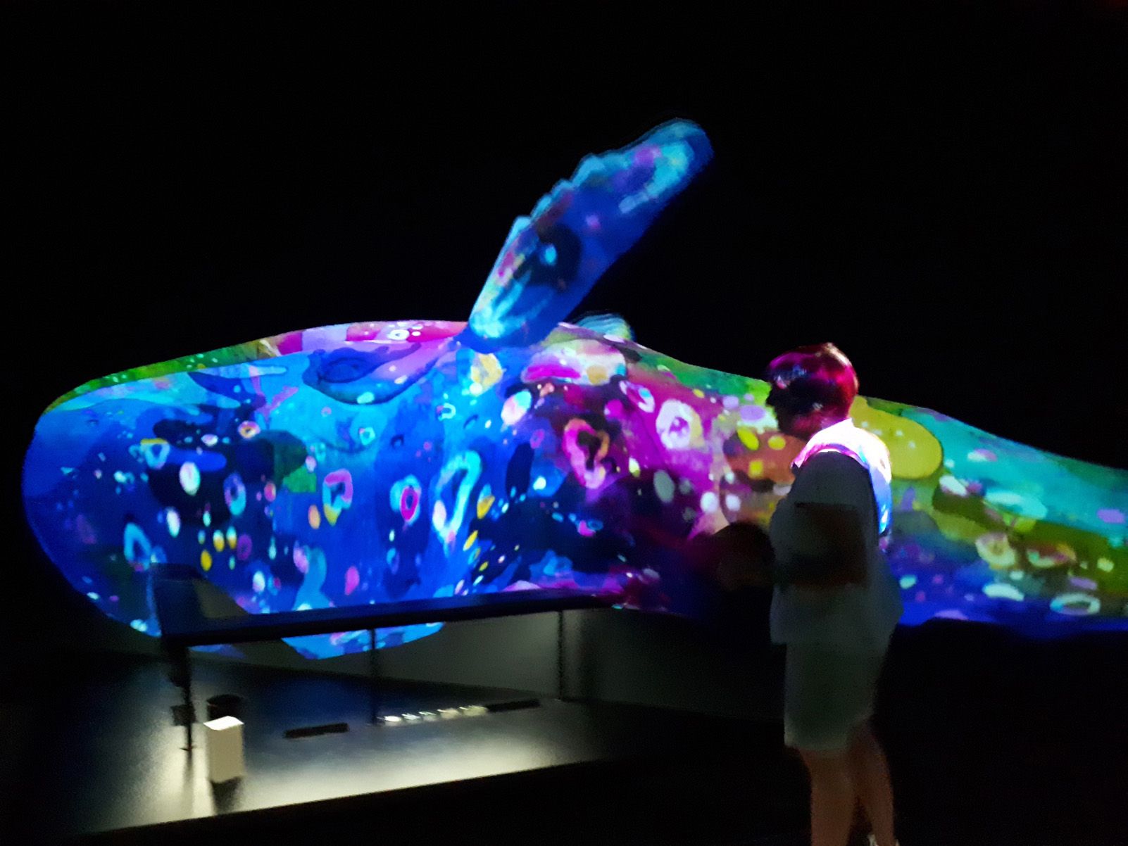 JORDI PROS VILÀ "Natura digital"