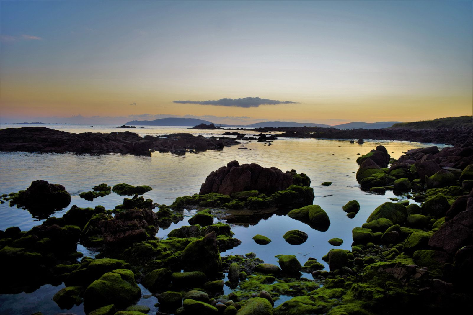Jorge Andreu Elorduy "Mar, roques, pau."