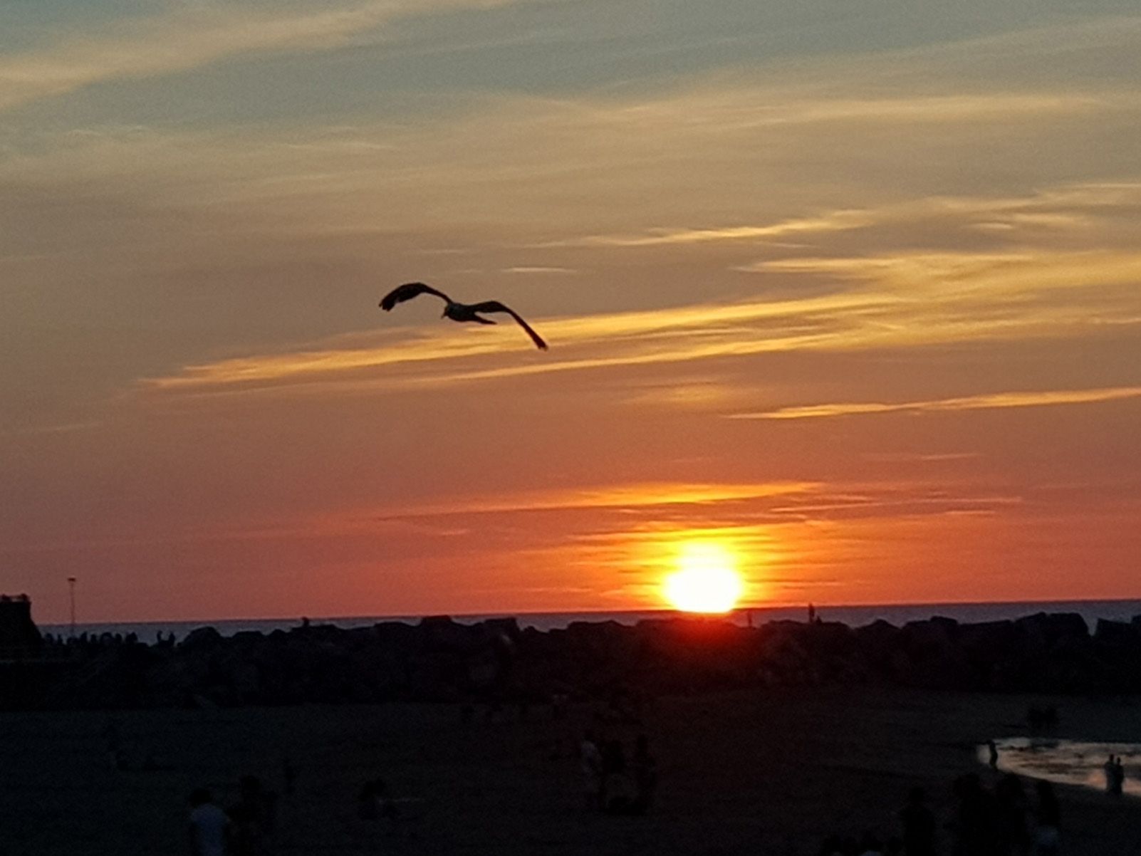 joseba quevedo casin "posta de sol donostiarra"