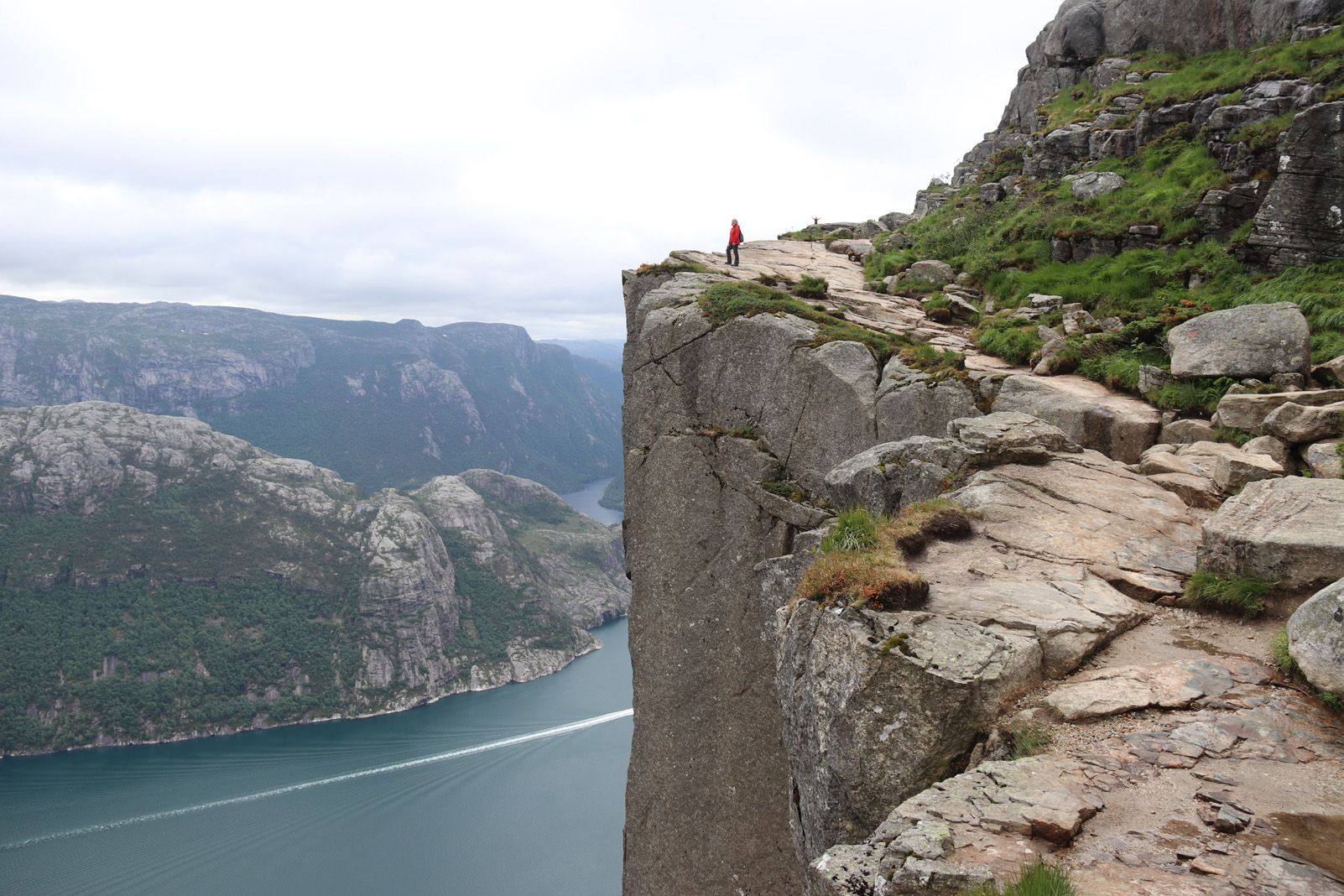 M.Teresa Rodés "Observant l'entorn"