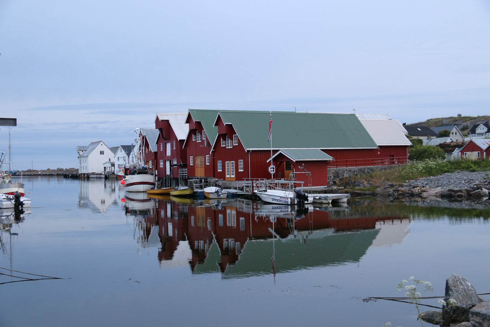 M.Tesesa Rodés "Reflexes tranquils!"