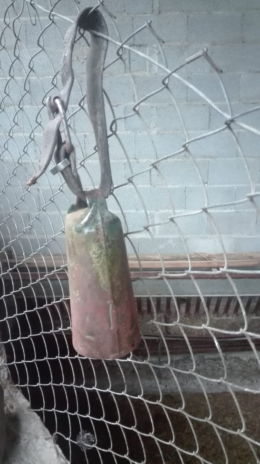 Maite Martinez Cusicanqui "Cencerro"