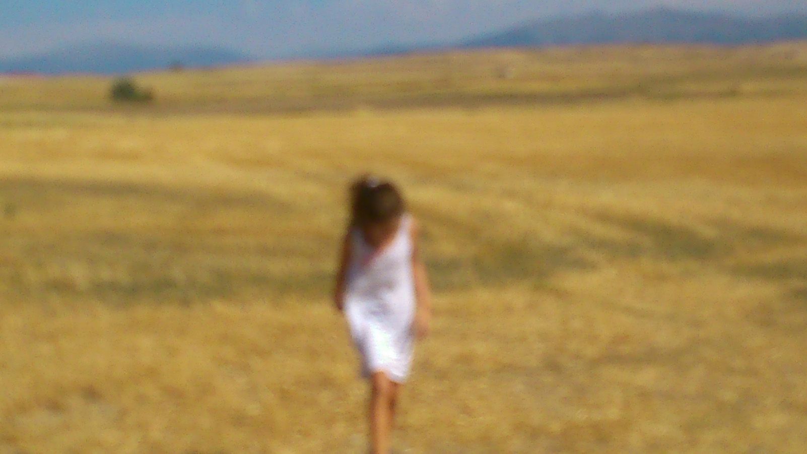 Maria Encarnacion "Campos"