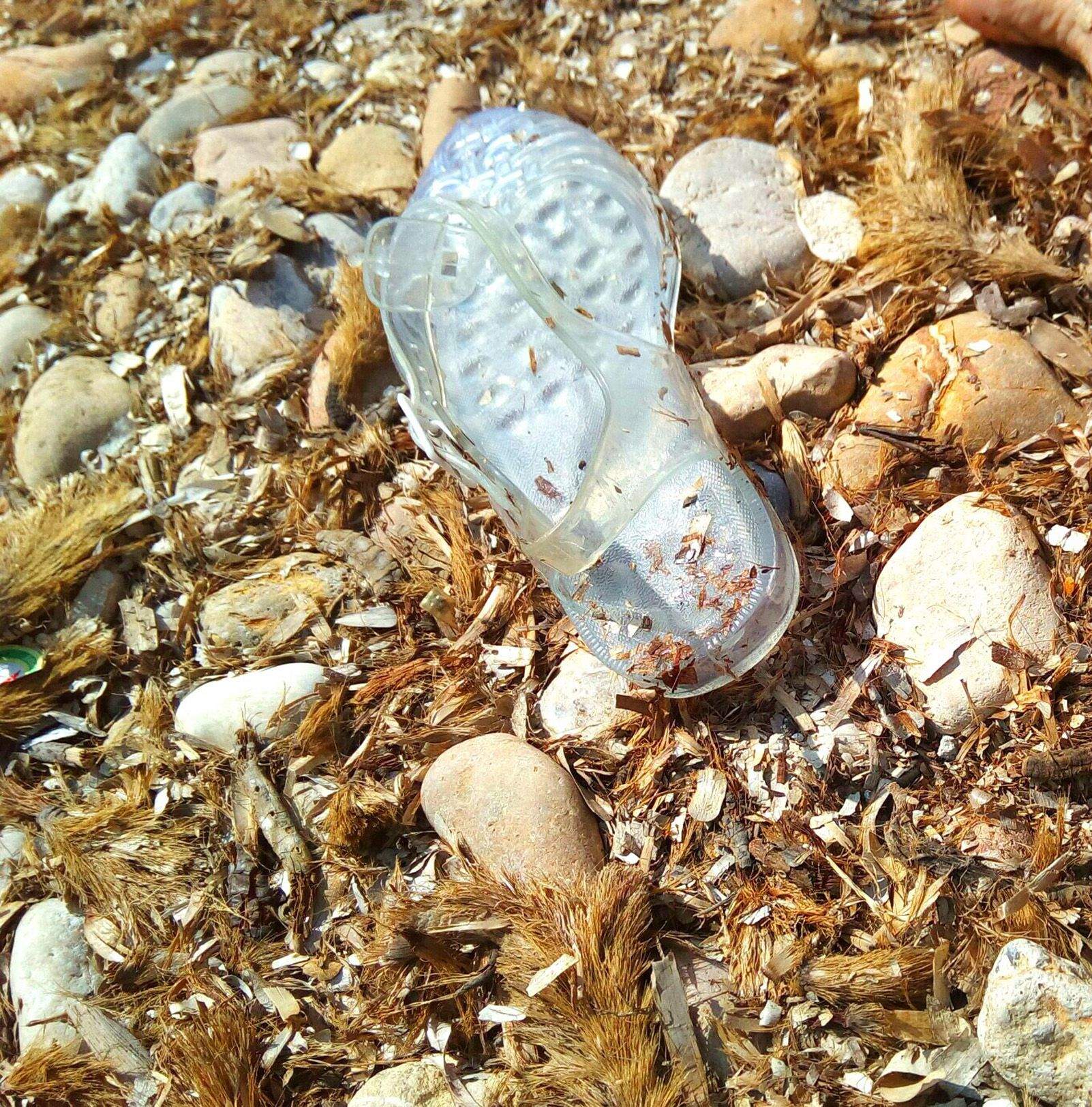 Maria Nieves Escudero Roig "I l'altre"