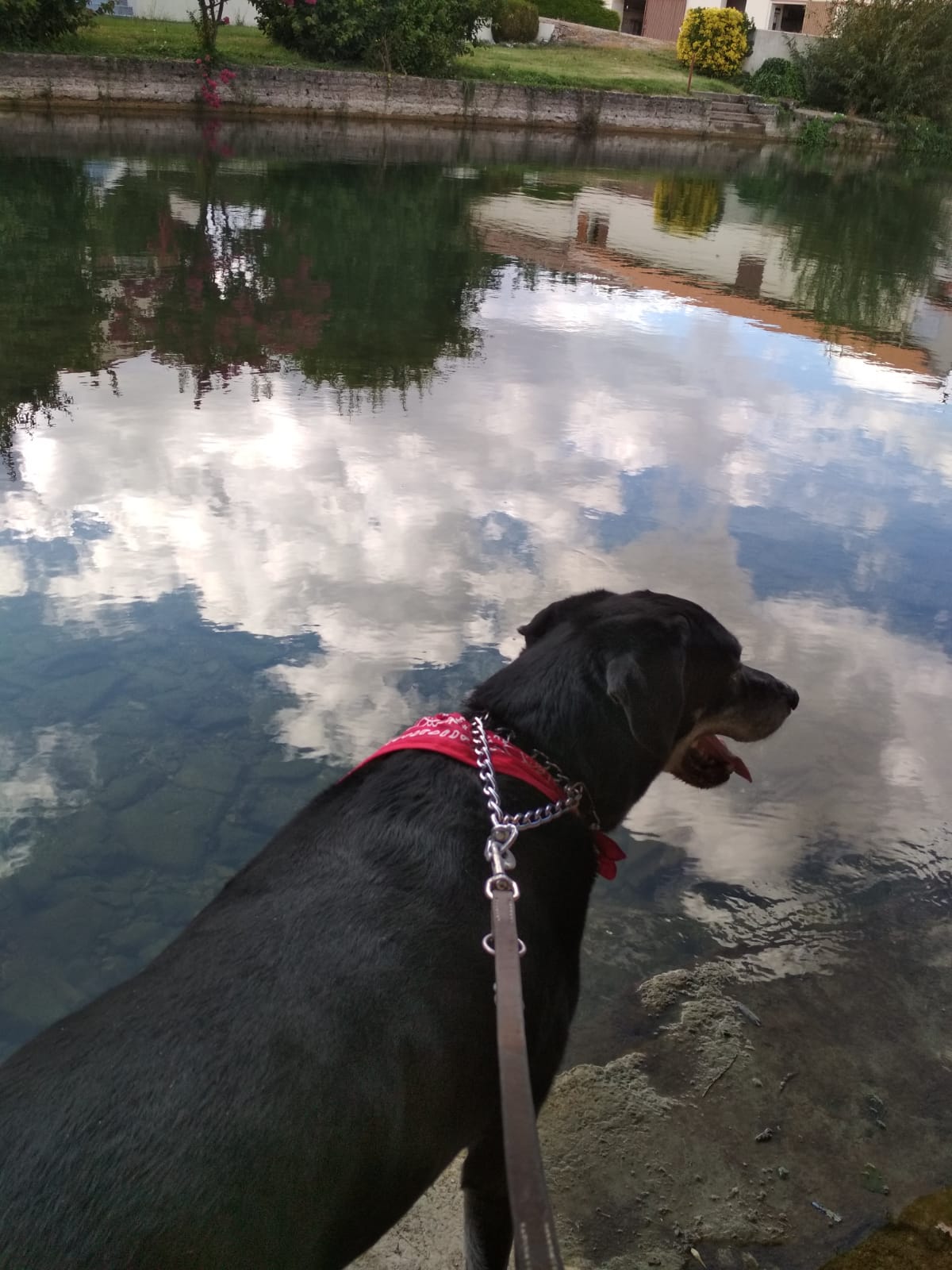 MARINA TESTA PEREZ "ALS NÚVOLS"