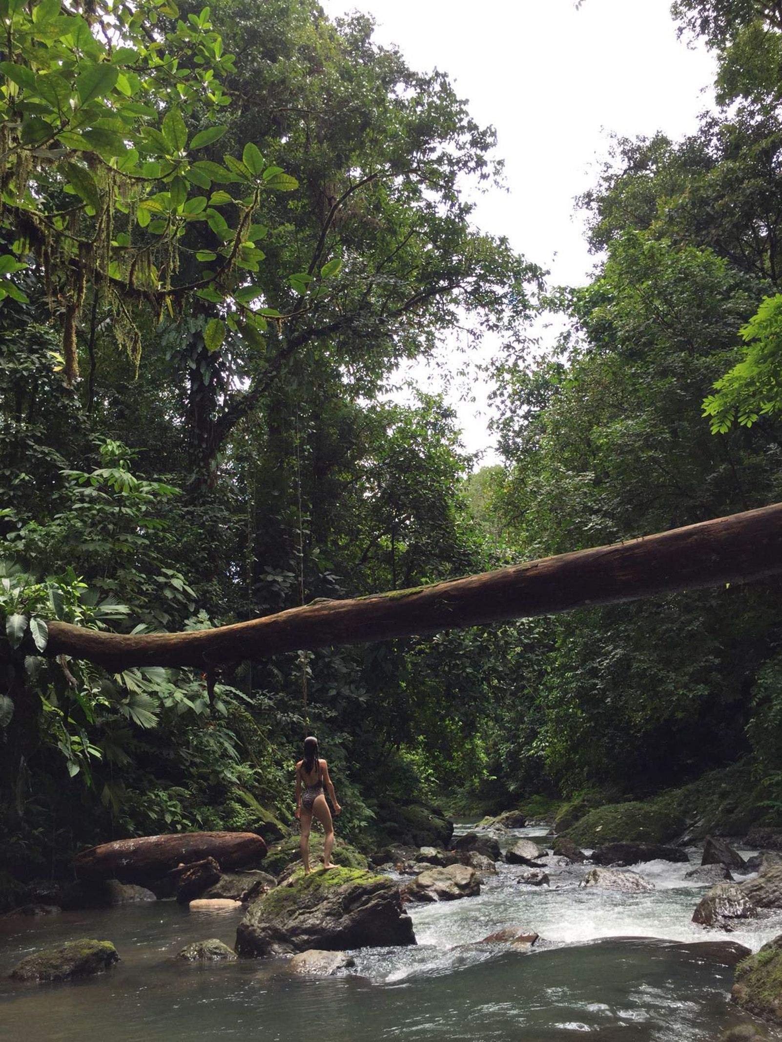 Marta Montoliu "Buscant a Tarzan"