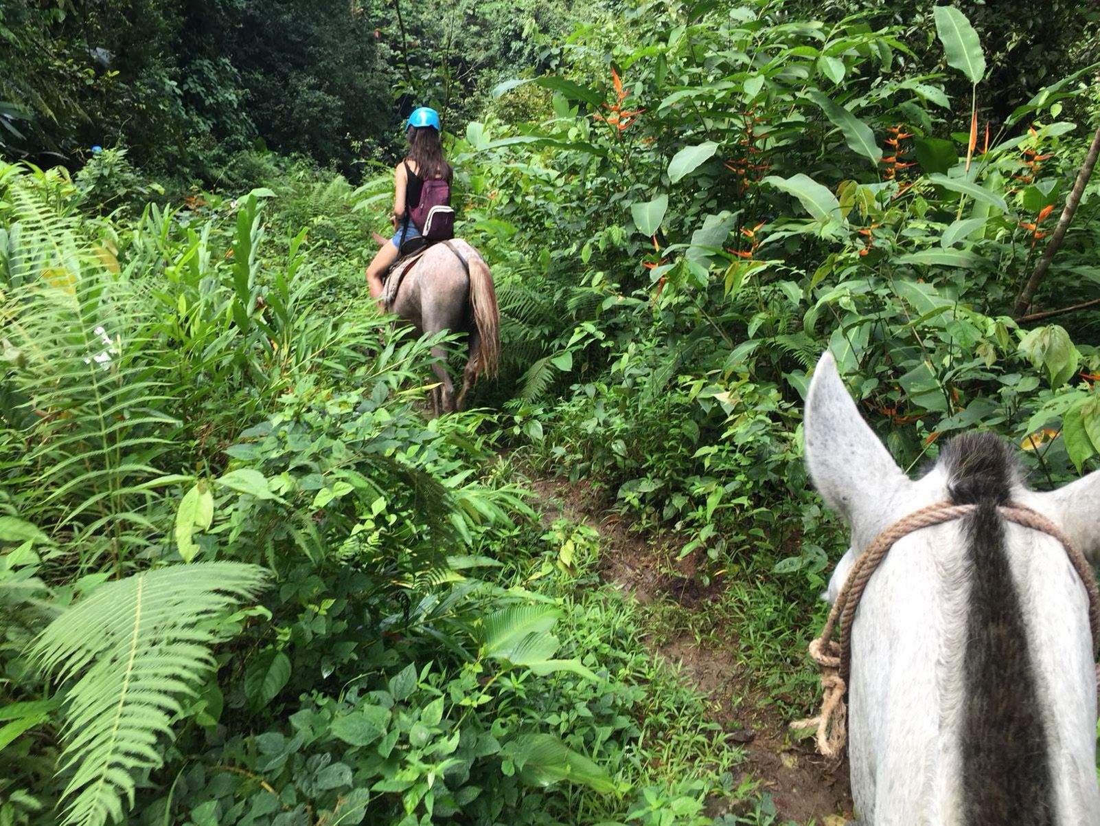 Marta Montoliu "Creuant la jungla a cavall"