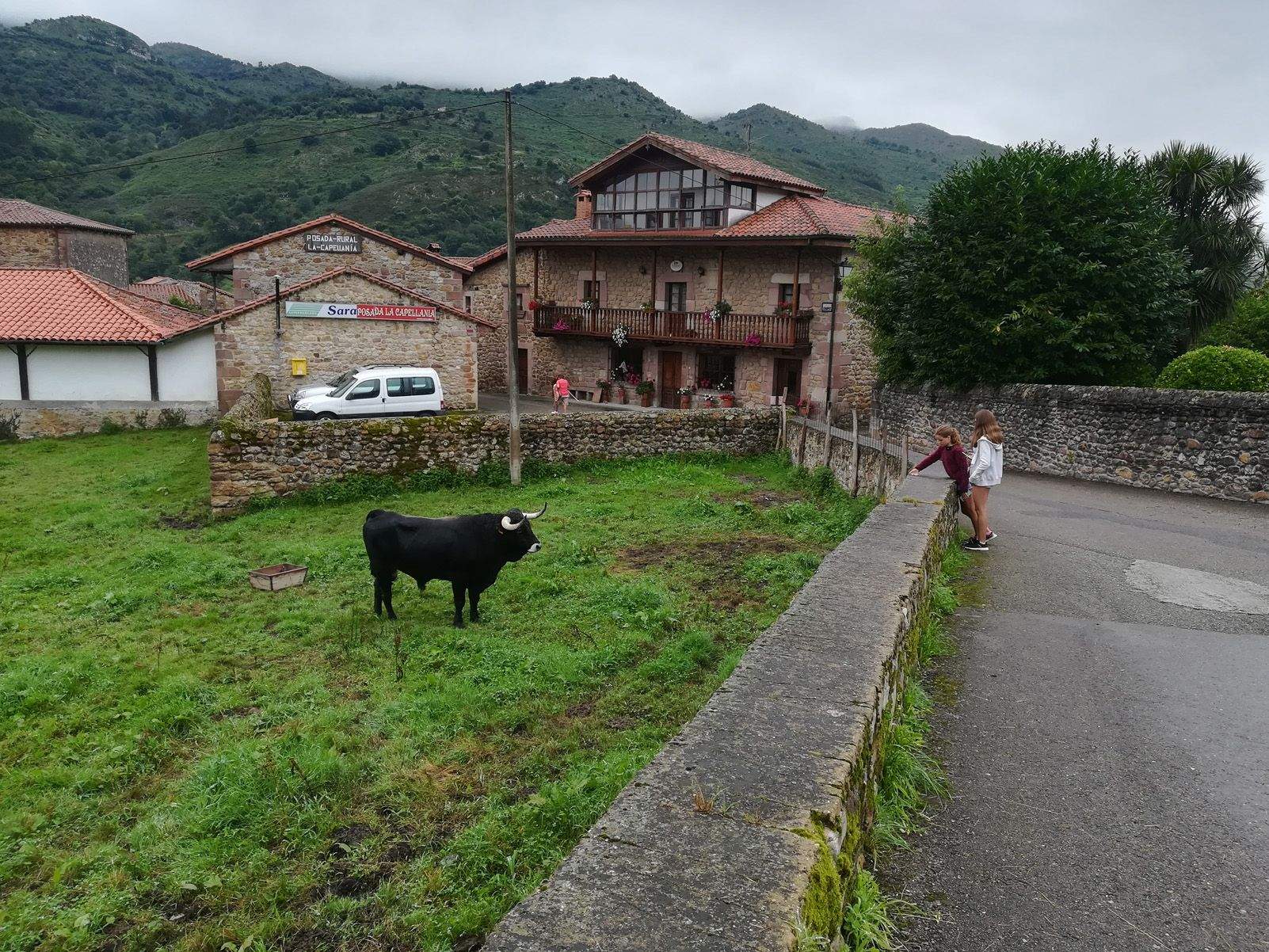 Mayte Fernández Iglesias "Fent amics a Celis."