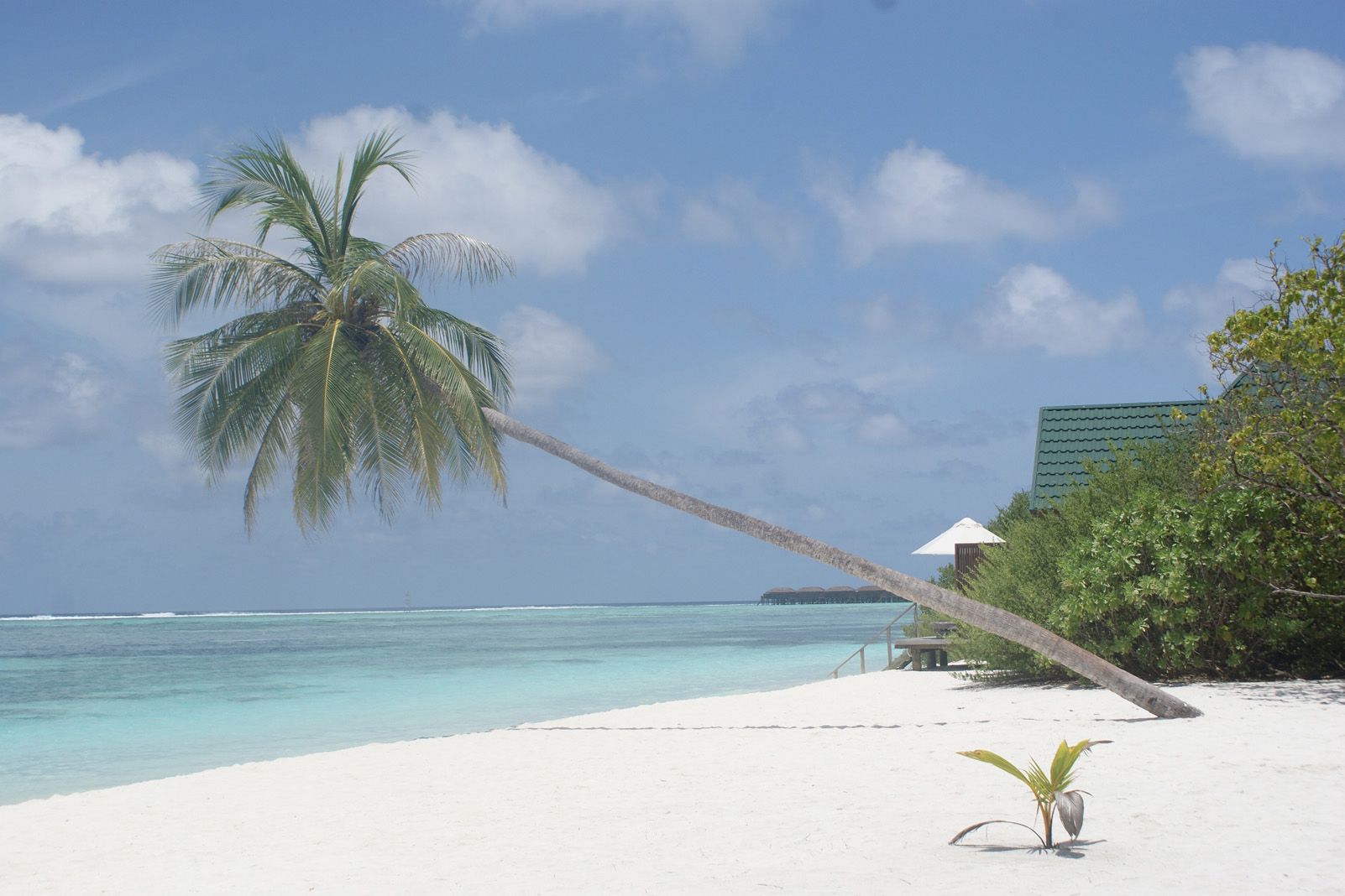 MCarmen Barrera Reyes "Quina pau!"