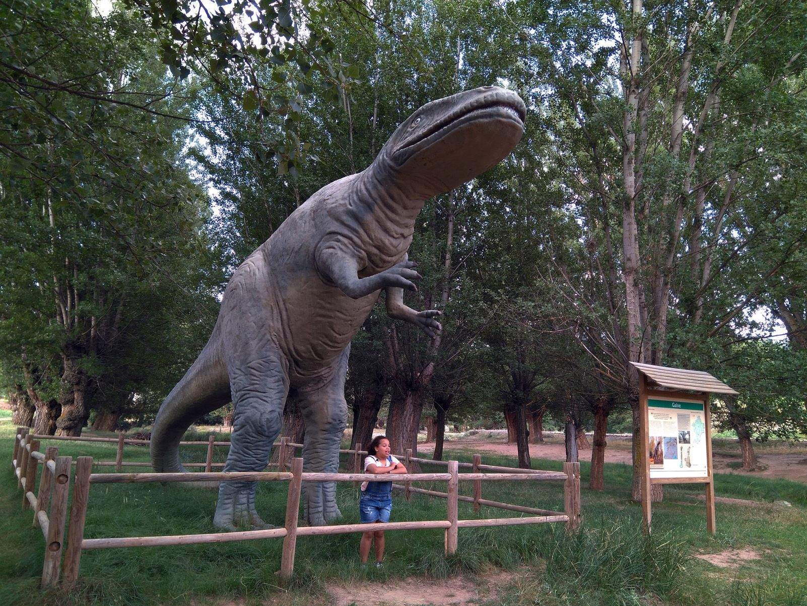 Miguel Angel Legua Pastor "Me pareció ver un lindo Aragosaurus"