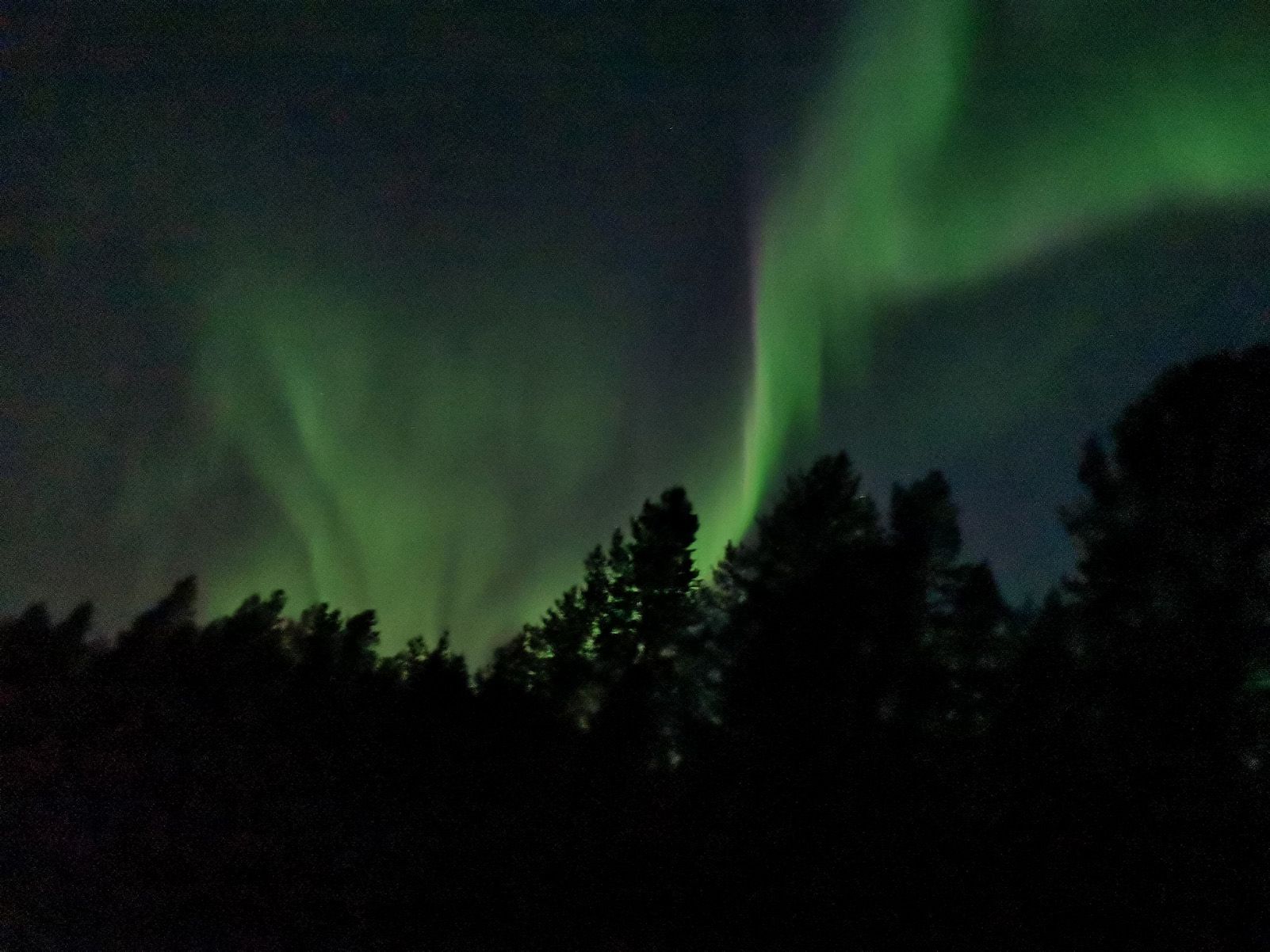 Miquel González "L'esclat de la nit"