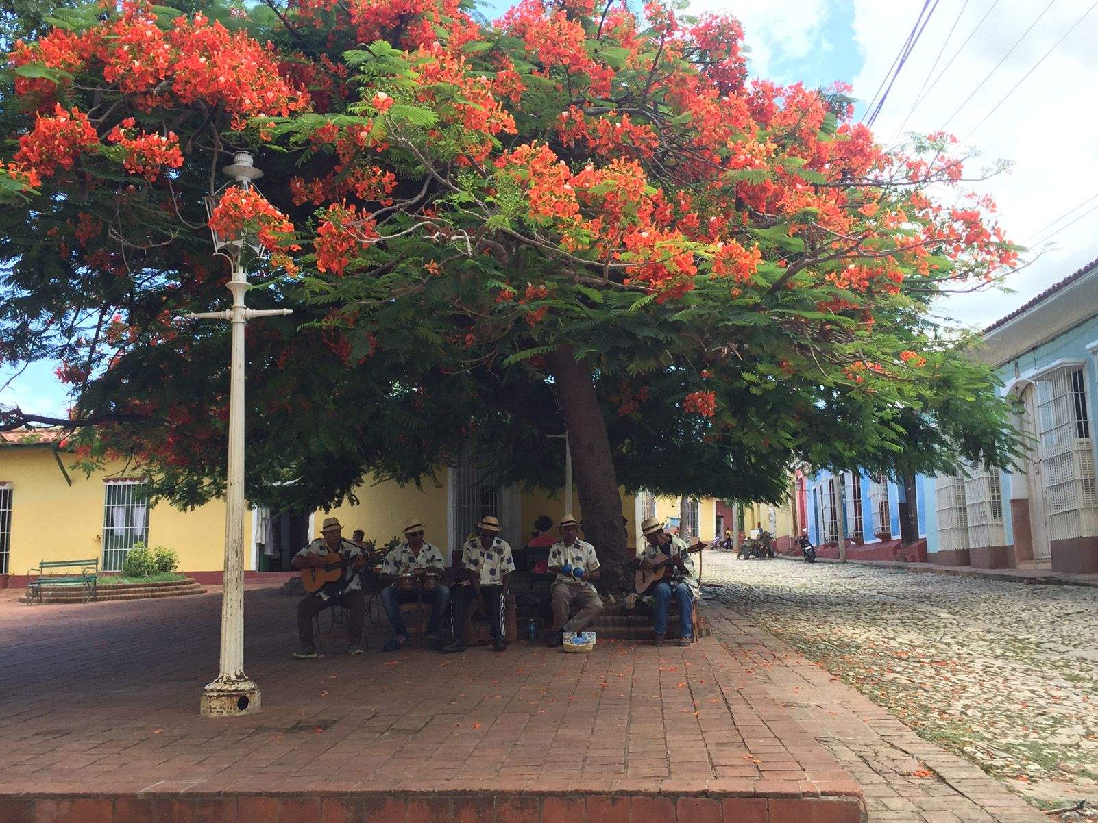 Mireia Carrillo Yévenes "Al ritme del càlid son cubà"