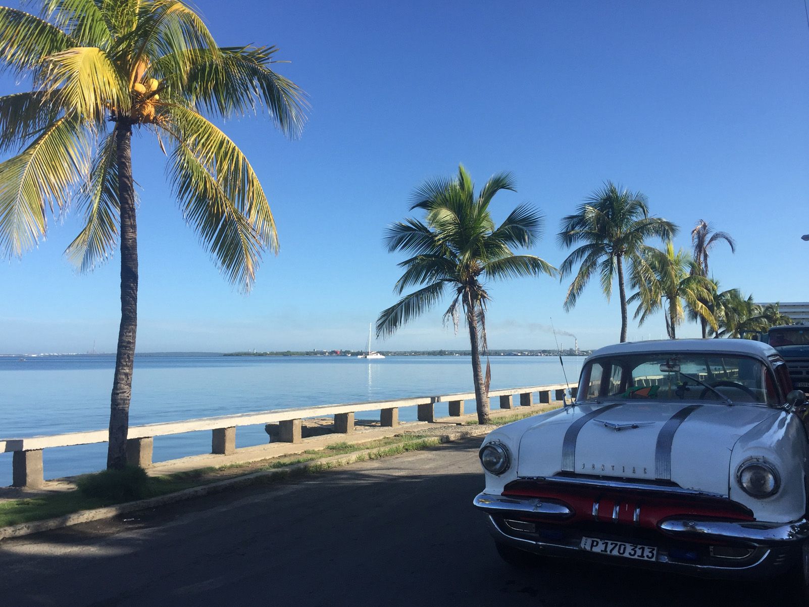 Mireia Carrillo Yévenes "El nou paradís vintage"