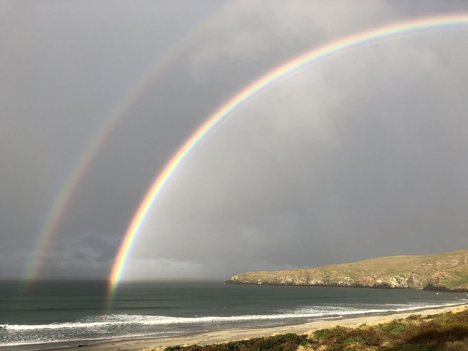 mireia clua serres "Doble Tresor"