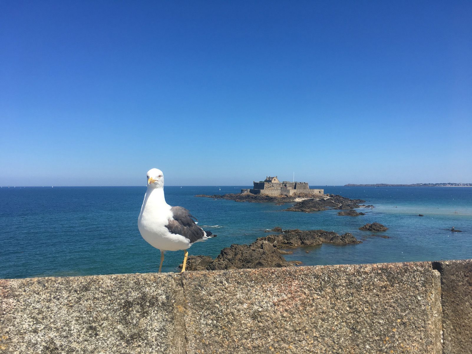 Mònica Puig Prat "Dispara!"