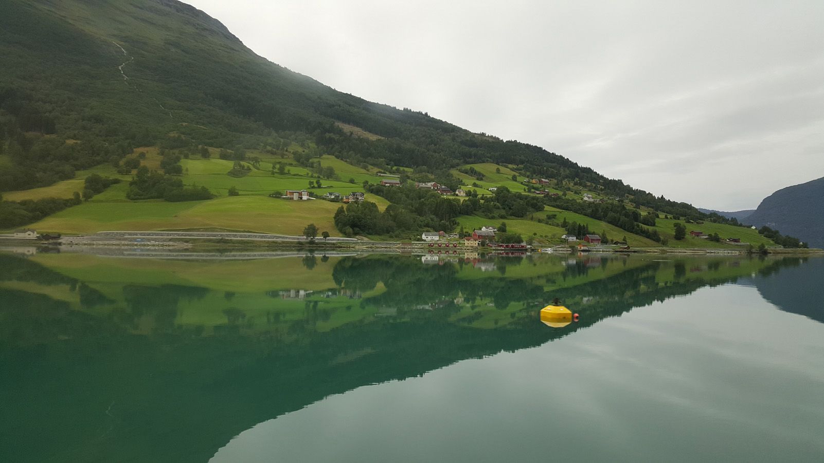 Montse Català Costa "Reflexes"