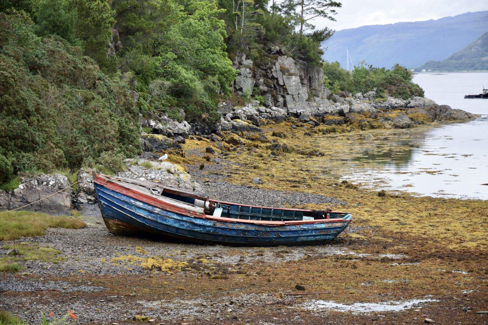 Myriam Blanch Letourneau "Colors"