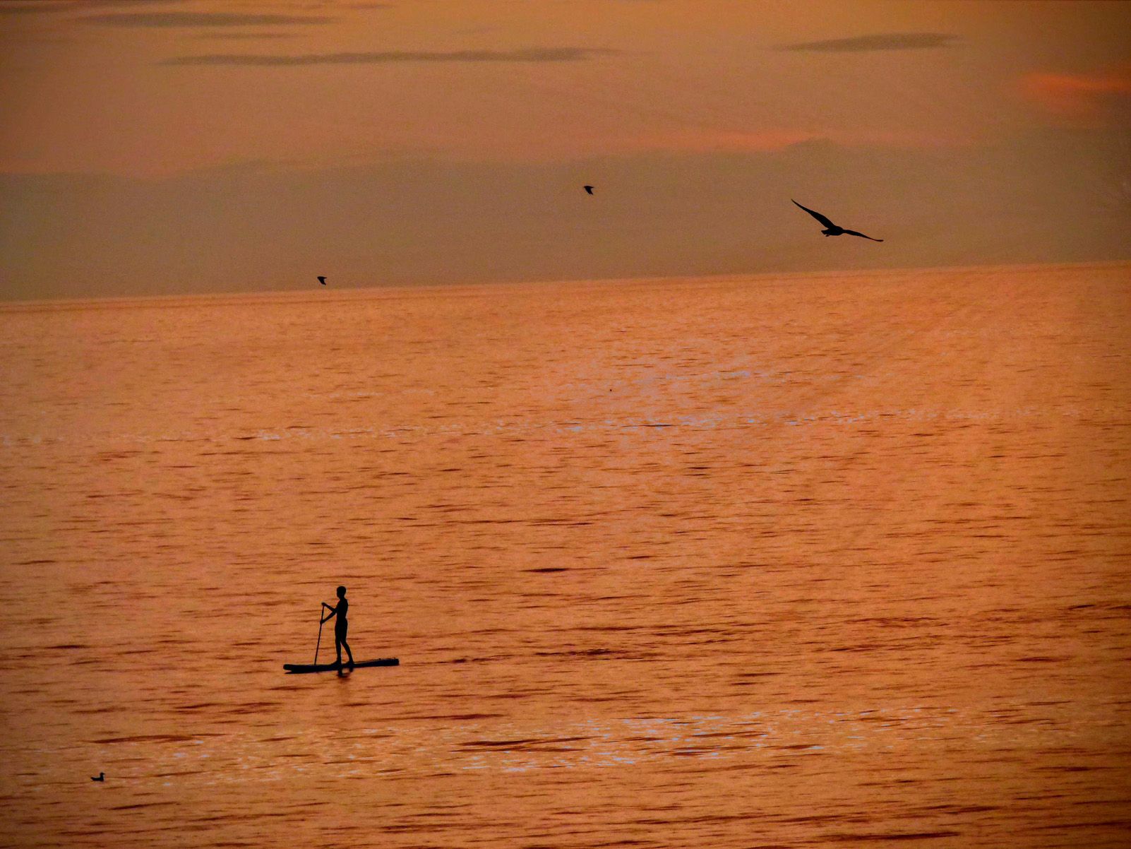 Nicolas Touvay Pérez Calvo "Llibertat Daurada"