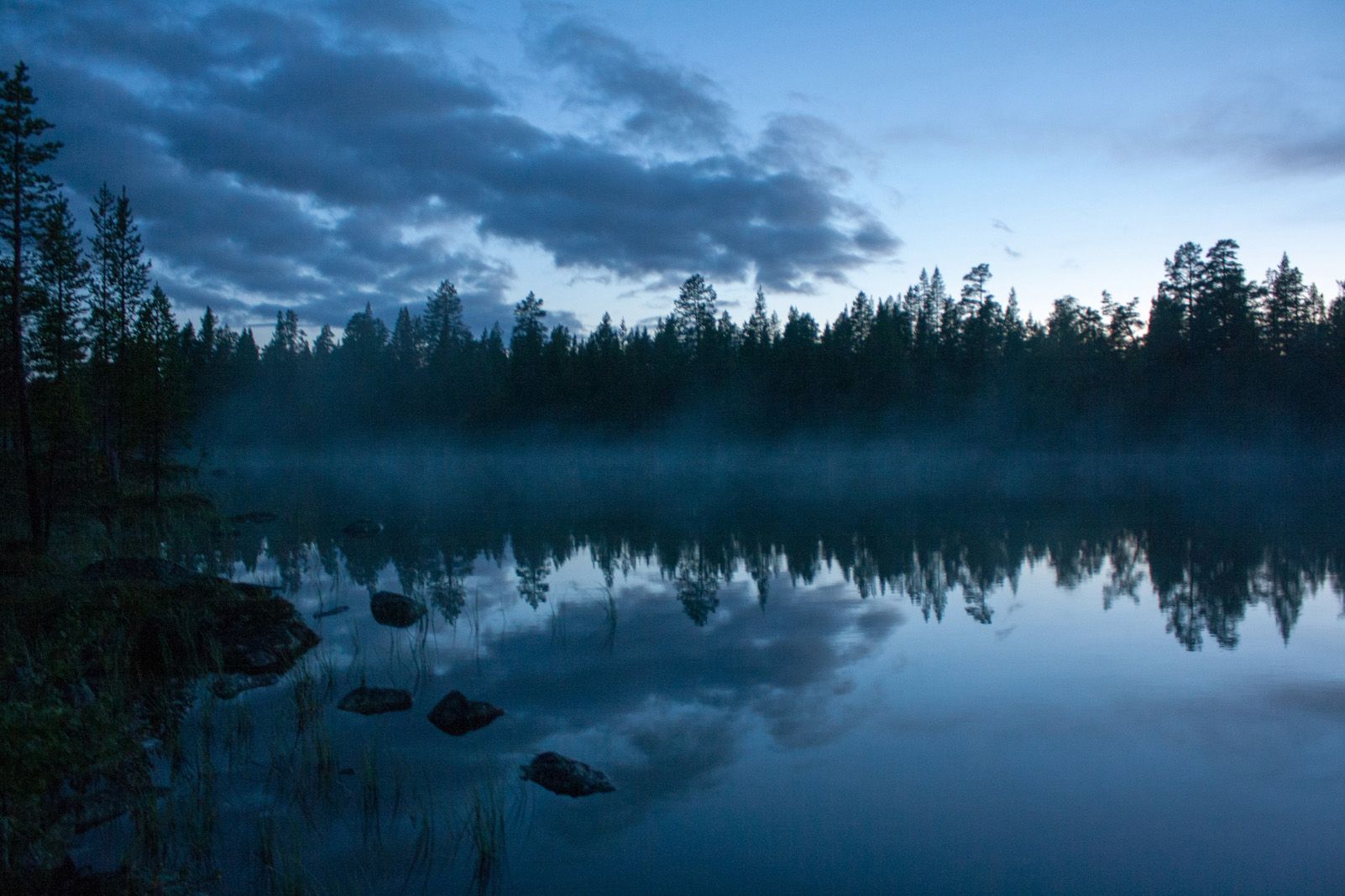 Noemí Segura Solé "Llum de mitjanit"