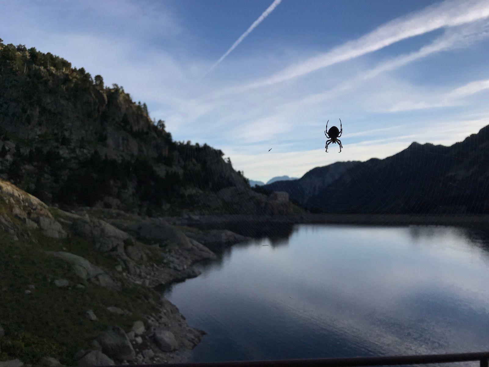 Nora Corbella Alcántara "L'acròbata del Circ de Colomèrs"