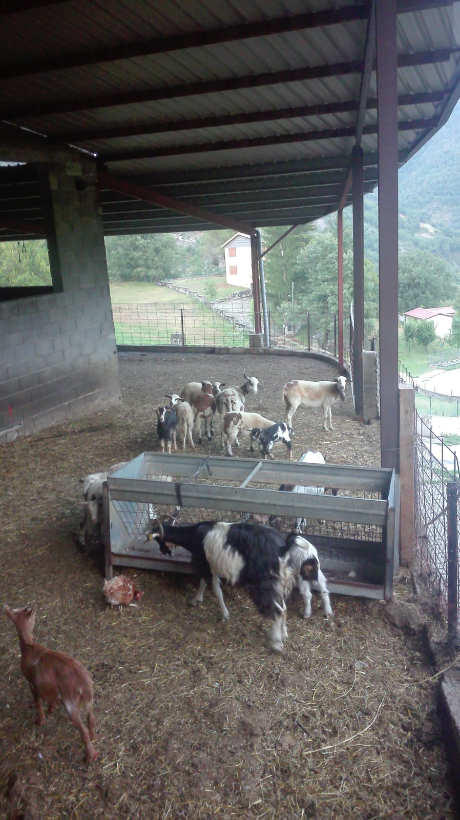 Maite Martinez Cusicanqui "Descansando"