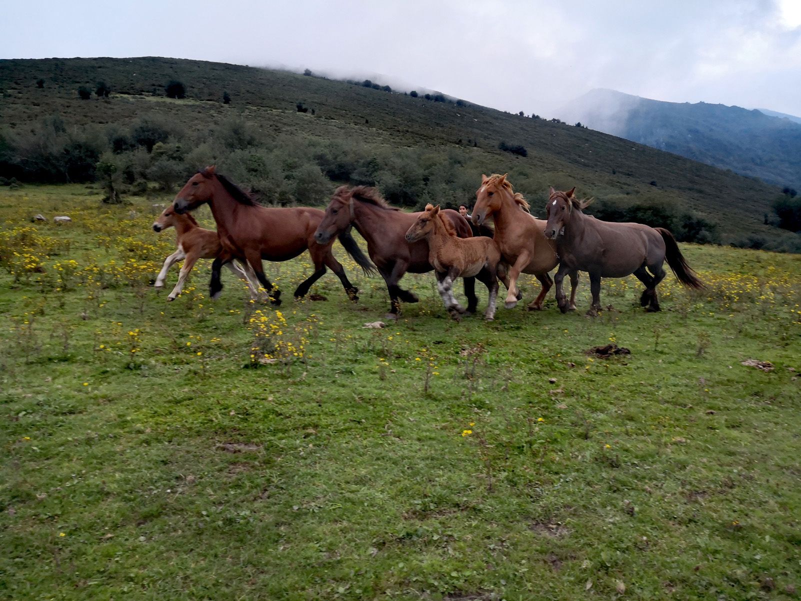 Pablo Gómez Cano "Llibertat"