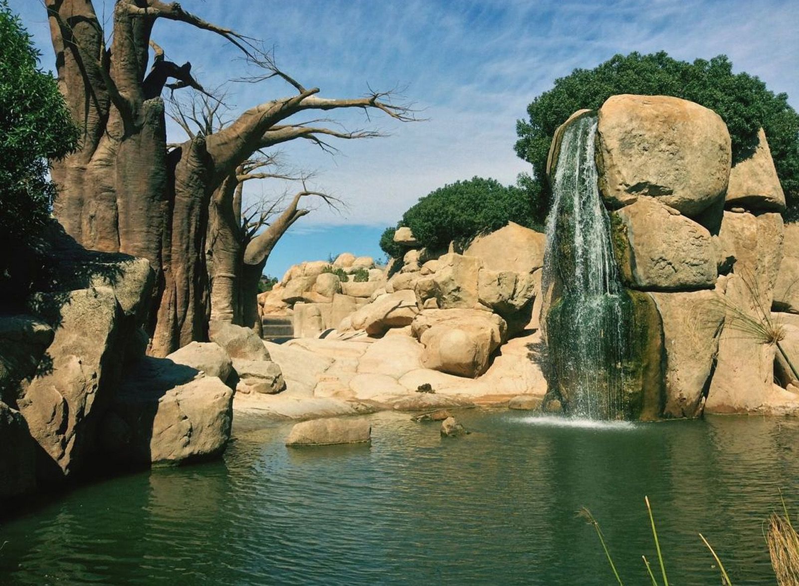 Paul Tandalla "Color elefante"