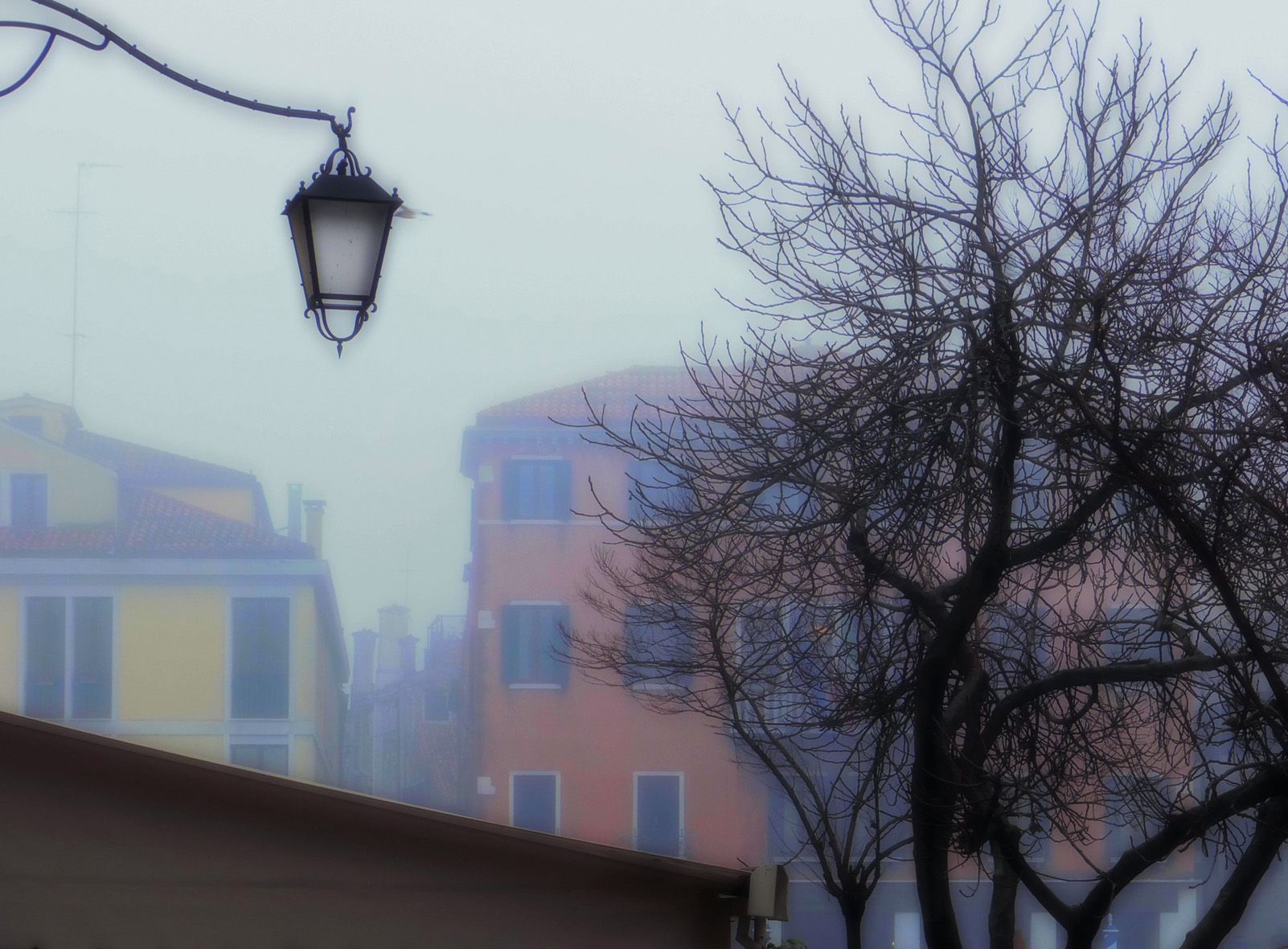 Pey Llussa Masdeu "Boira"