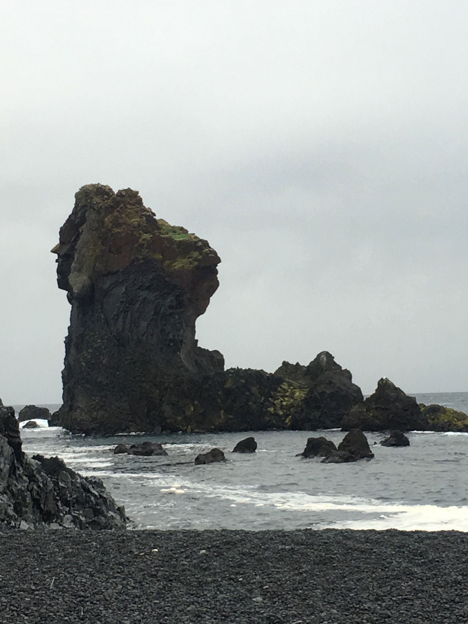 Pilar Guitart Prat   "El poder de les dones troll"