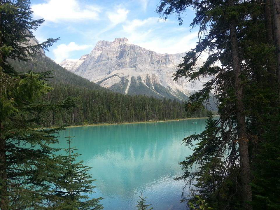 Ricard Sánchez Cahis "Natura i pau"