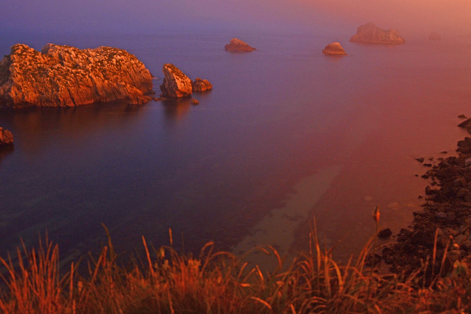 Salva Vergés Durán "Profunditat nocturna"