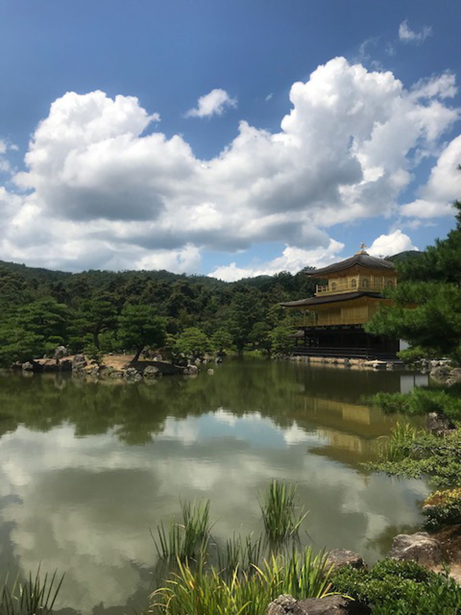 sandra iruela jimenez "mirall daurat"