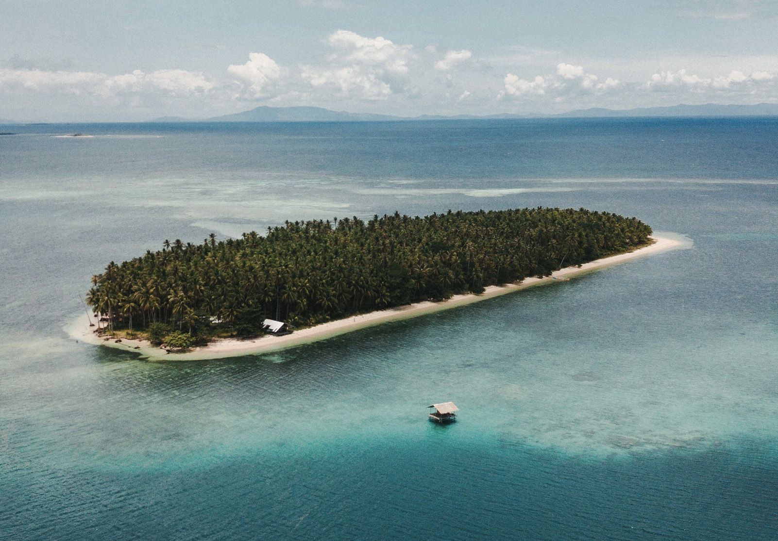 Santi Avila Anguera "Illa perduda plena de Palmeres"