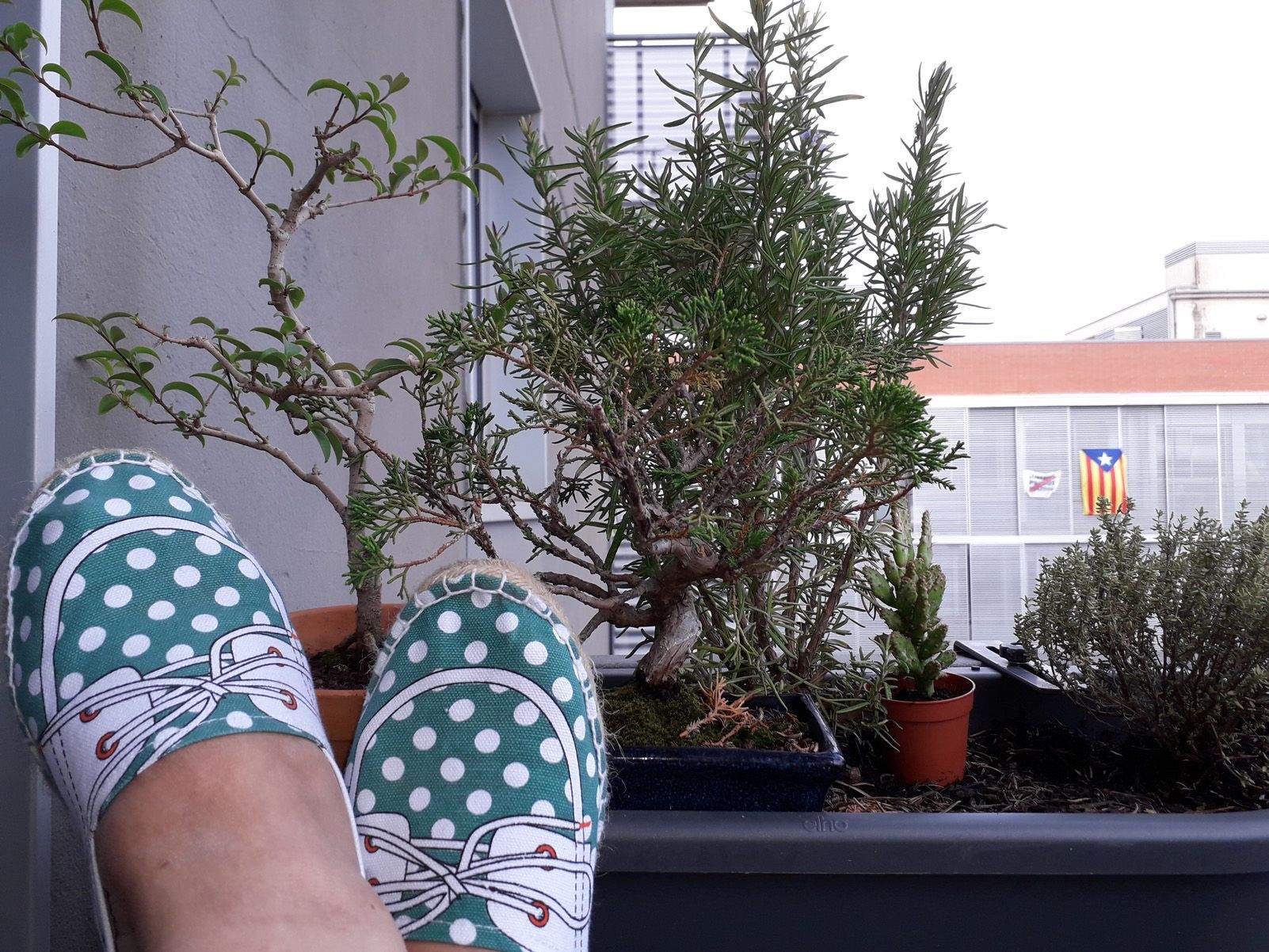 Sara Oriol Cañavate "Vacances al pis de Stq"