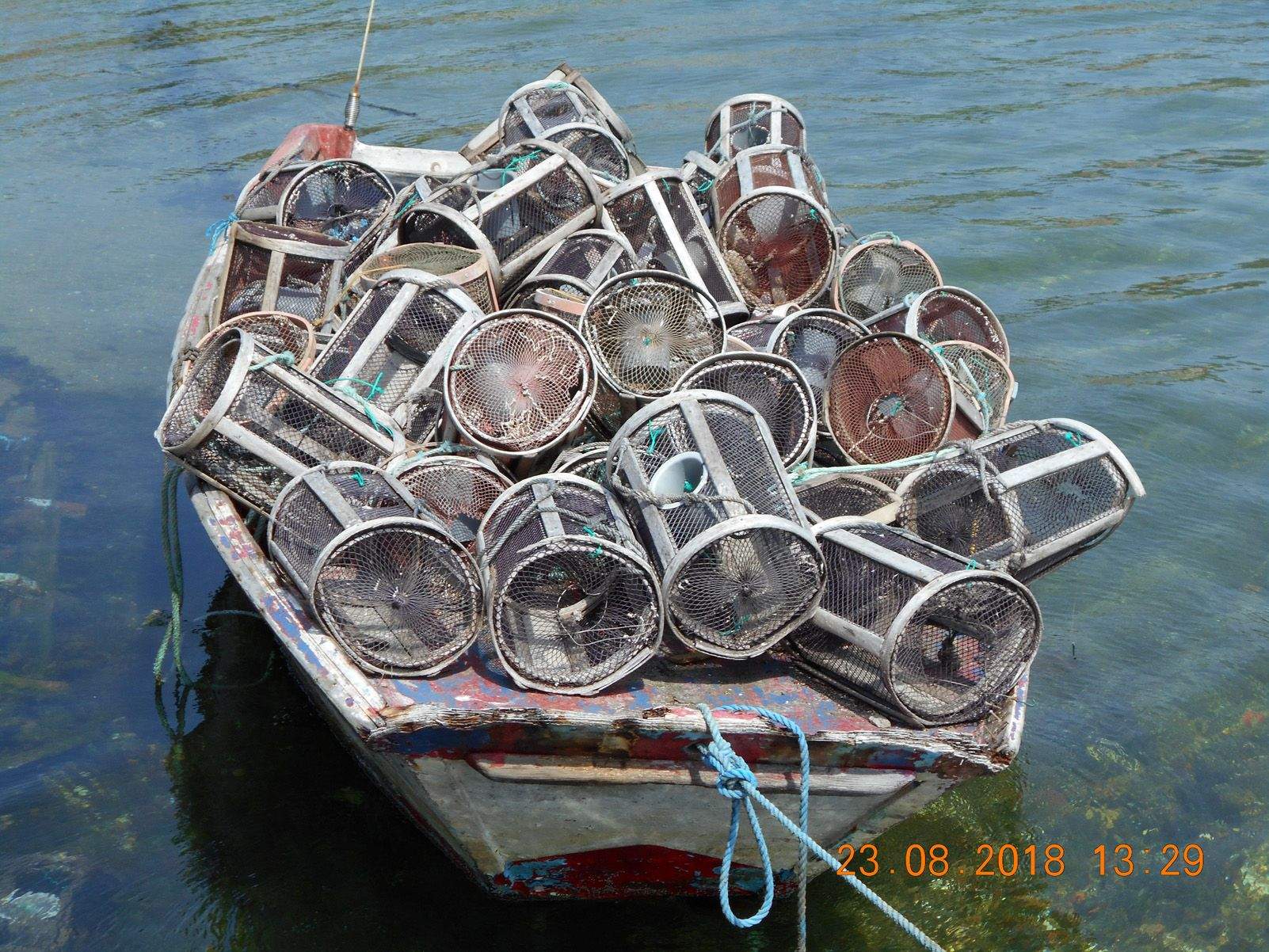 SARA RUIZ VAZQUEZ "Pesca pulpo"