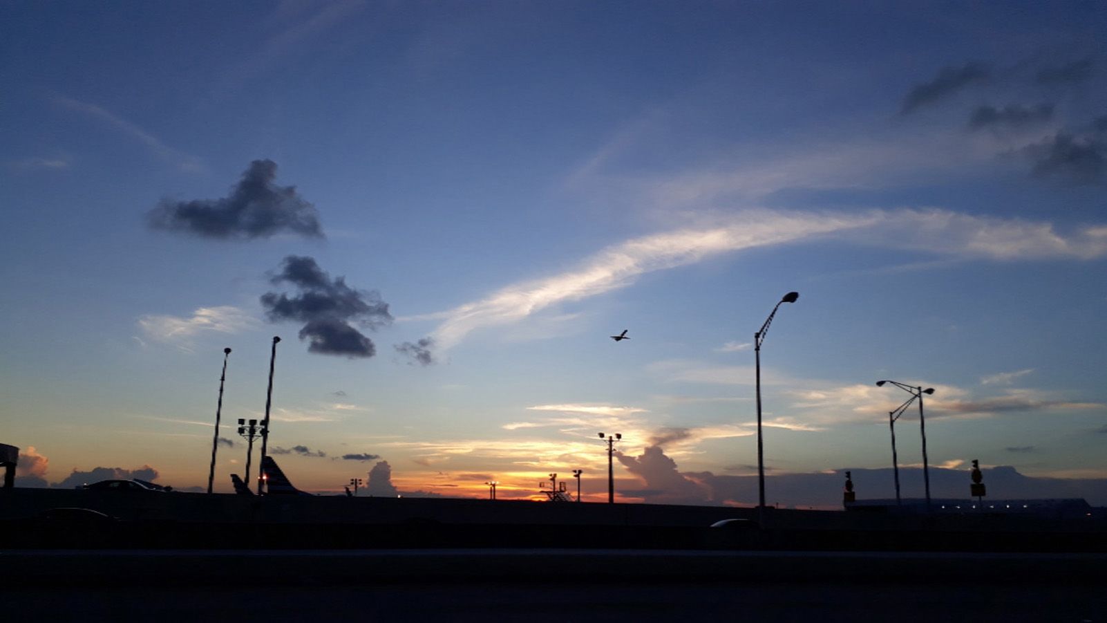 Sofia Marin  Guerrero "Pausa"