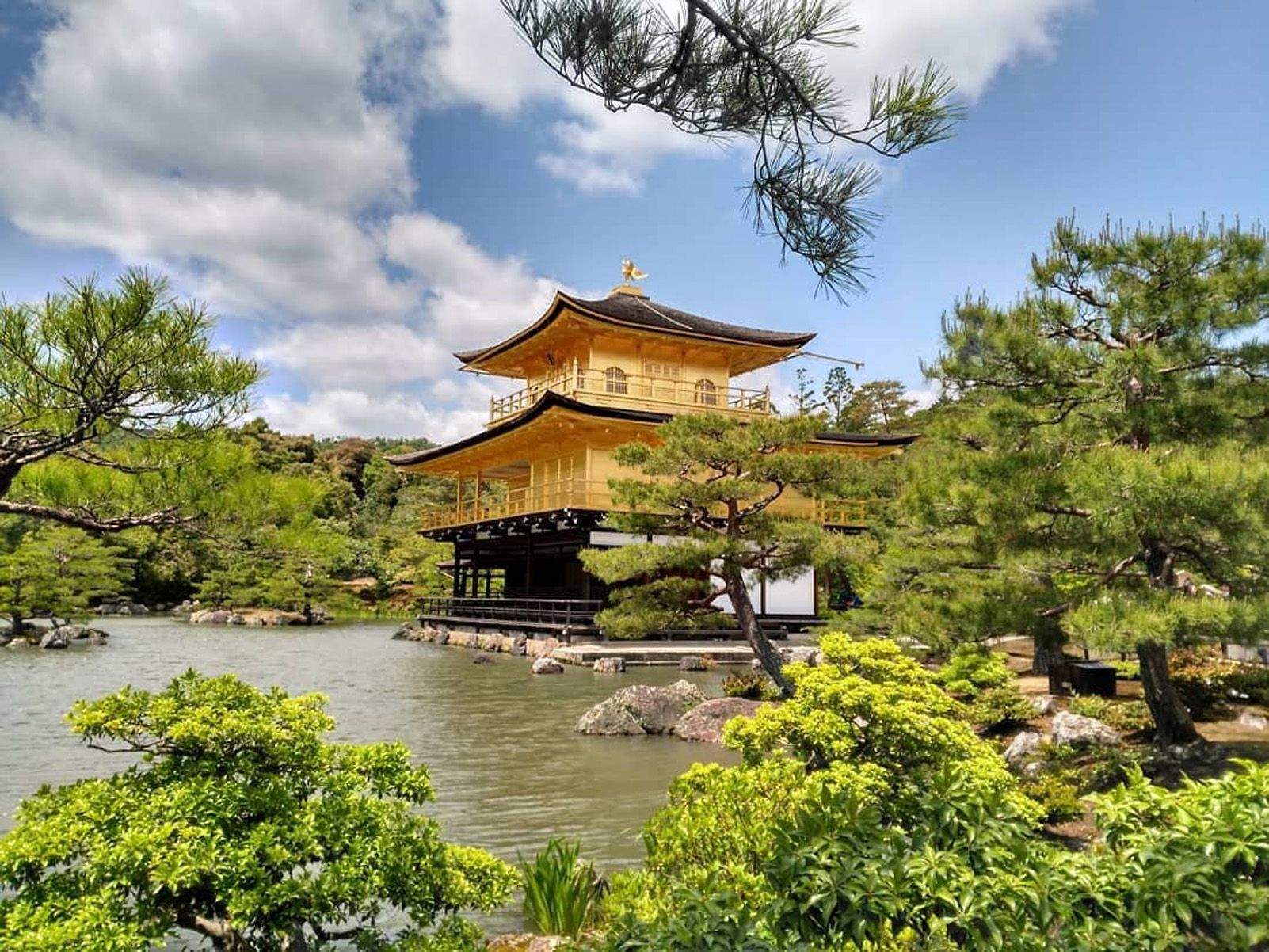 Tahïs Parvez "Deslumbrada por el Pabellón de Oro"