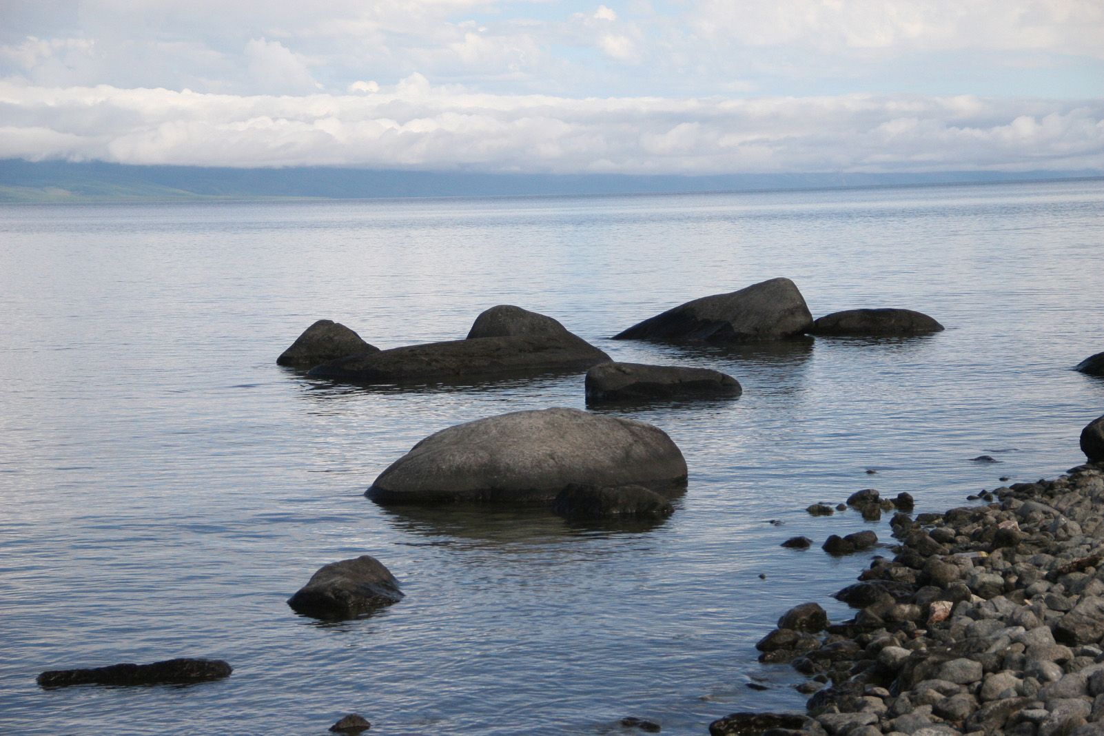 Ton Marimon Sunyol "Balenes"