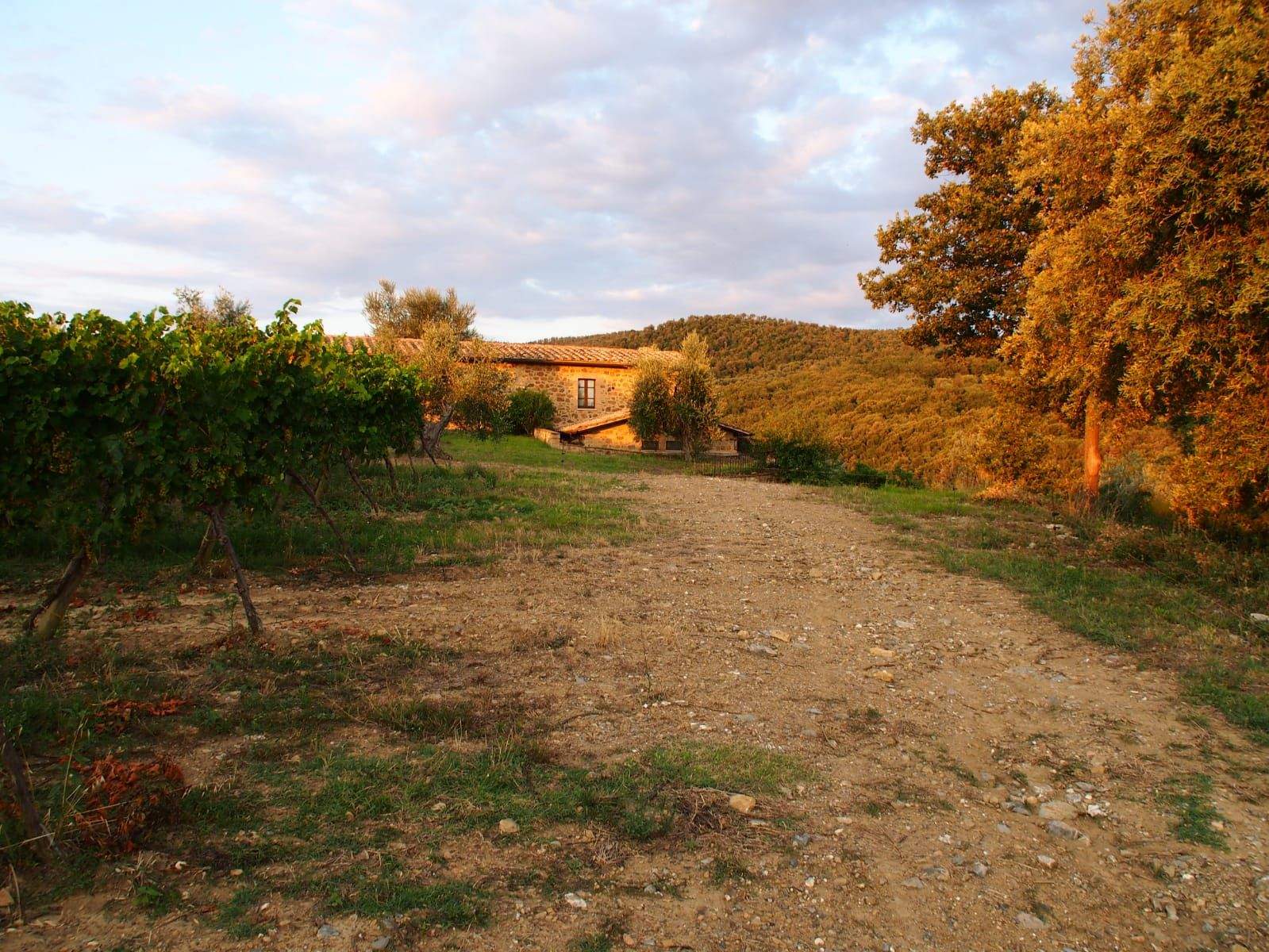 Valentin Casado La fuente "Calma"