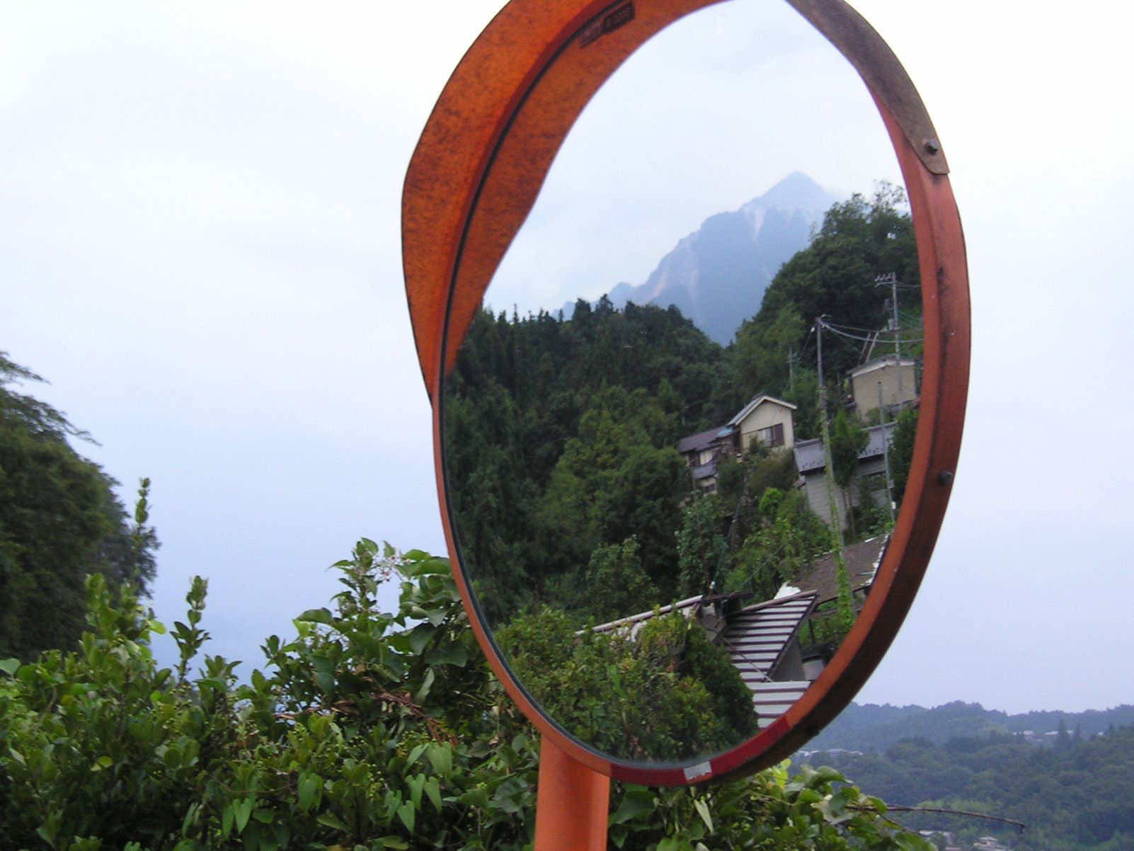 vika kleiman scheinbaum "BukoSan"