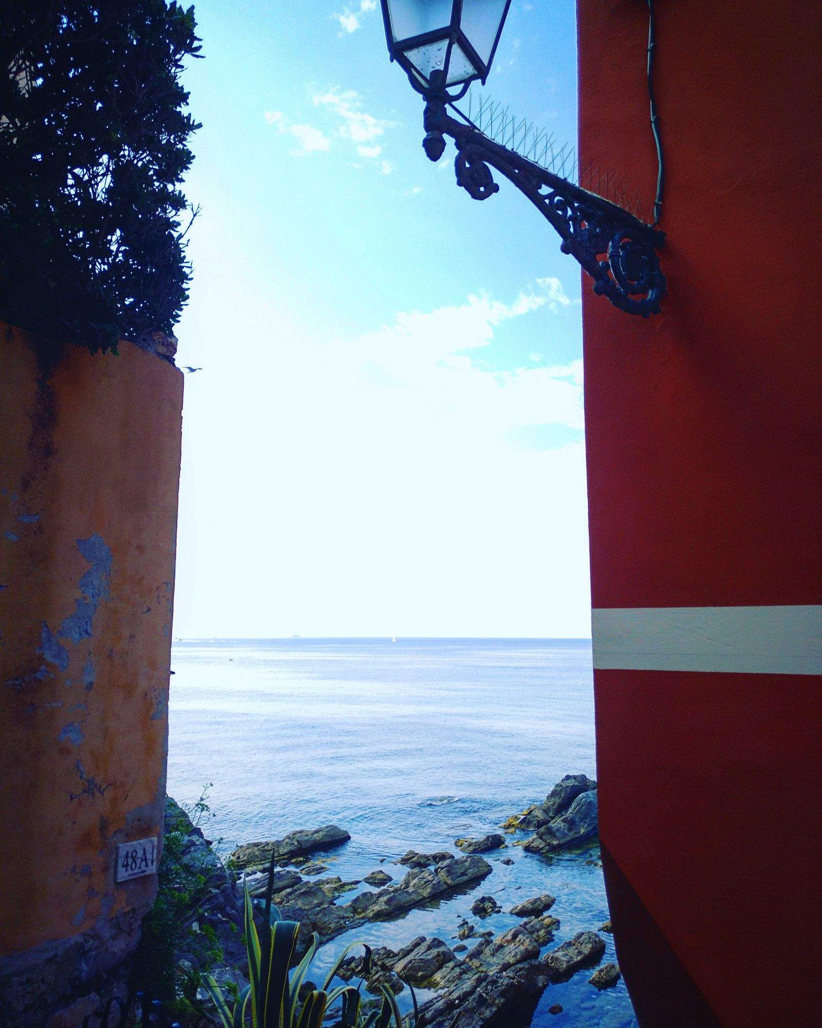 Xavier Bonachela "Racons"