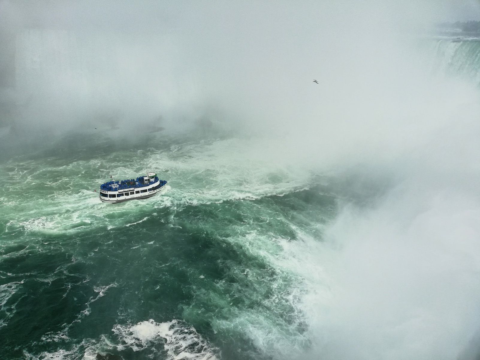 1r premi categoria Viatges: "Sense por", de Jana Foraster.