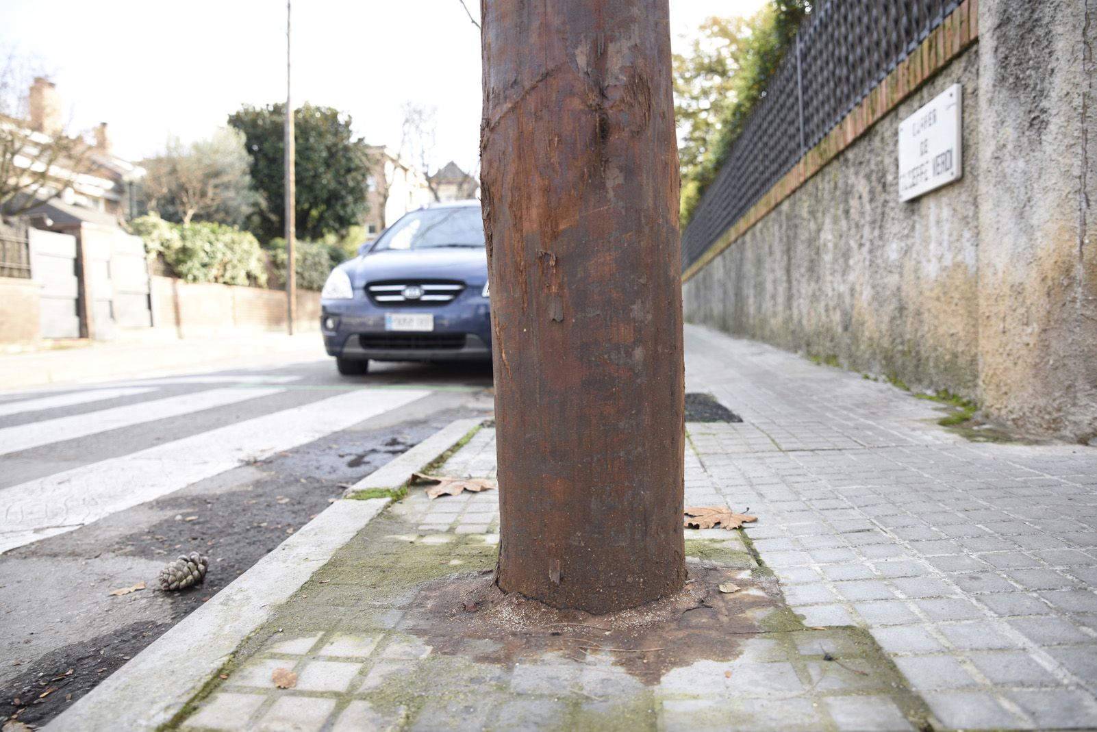 En els nous pals telefònics es veu la creosota a simple vista FOTO: Bernat Millet